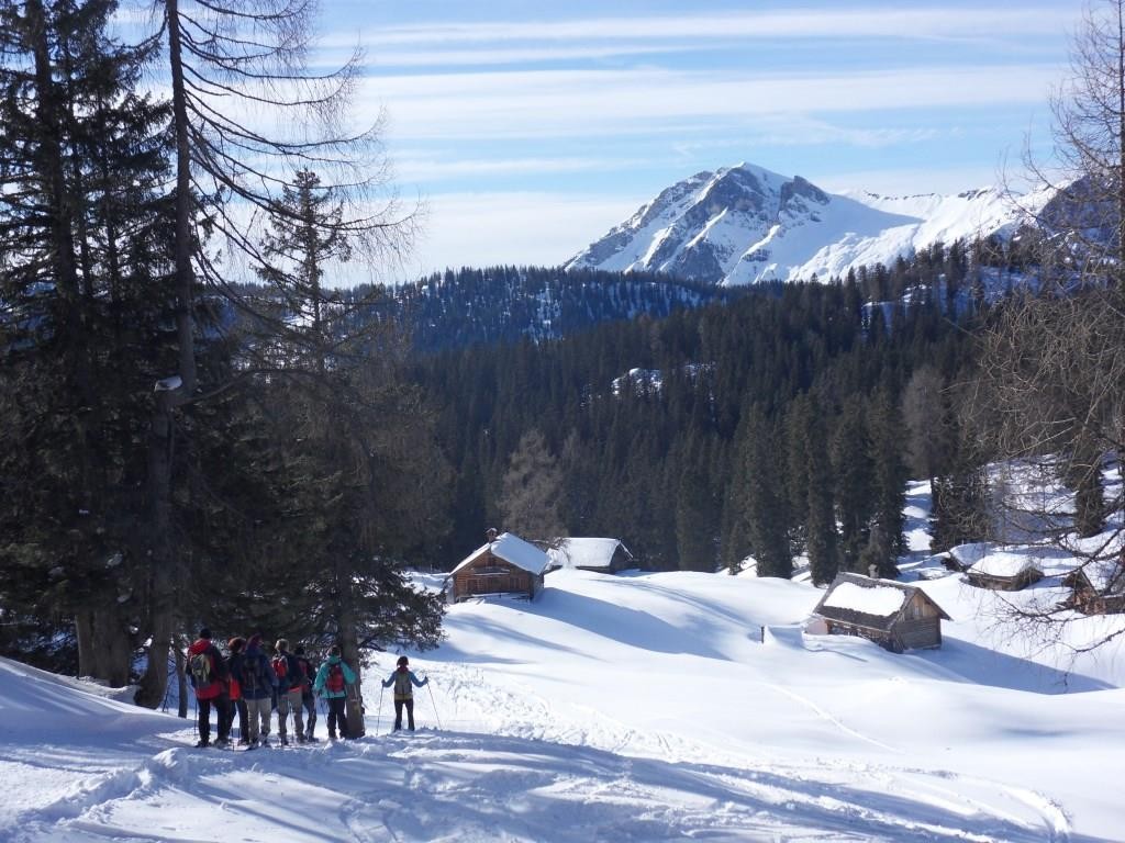 Am Retourweg ging es über die Hohe Schartenalm 1.550 m