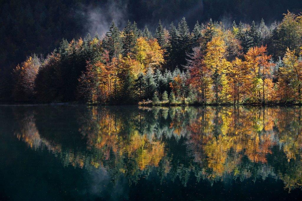 "Goldener Herbst" von Josef Rath 