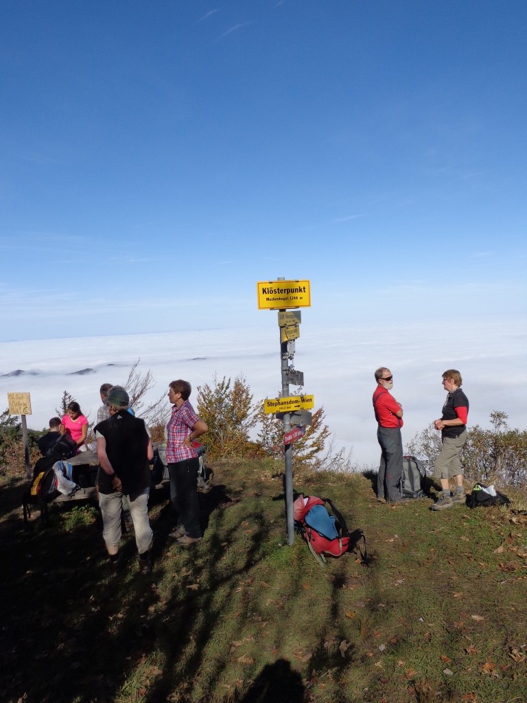 Muckenkogel-Gipfel 1.248 m