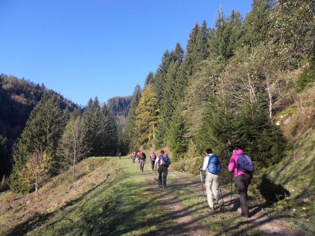 Aufstieg Richtung Zaglbaueralm