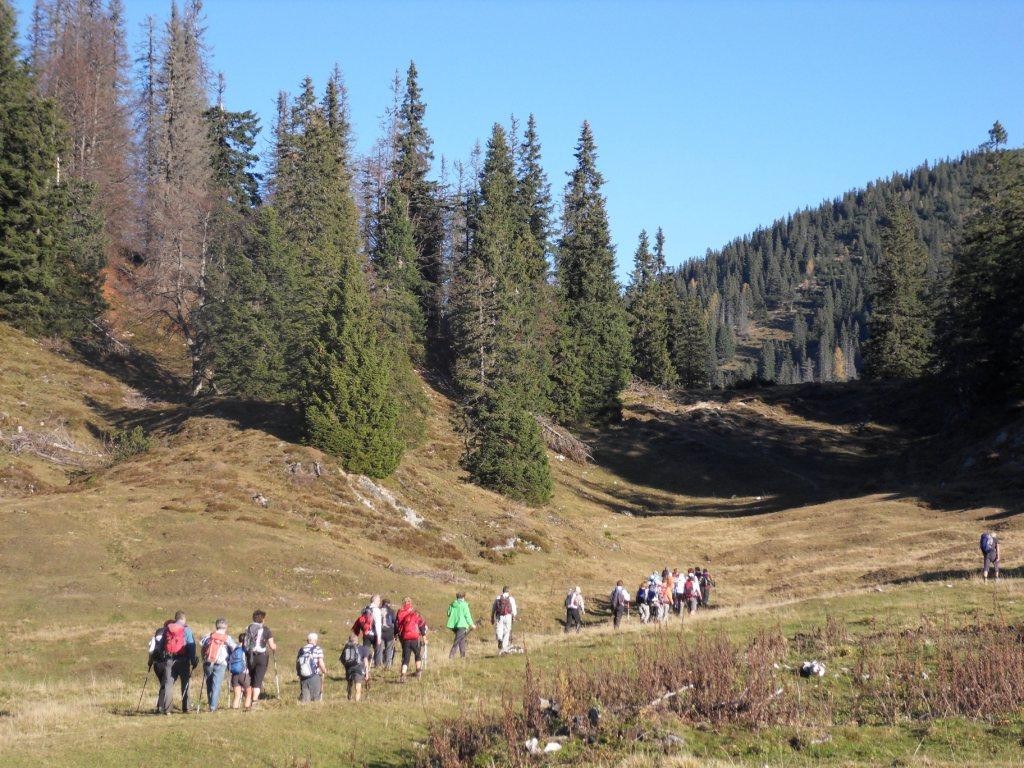 Wanderweg entlang des Almbodens