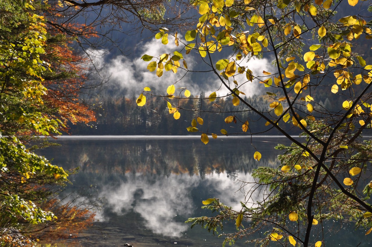 "Morgennebel - Langbathsee" von Franz Fuchs