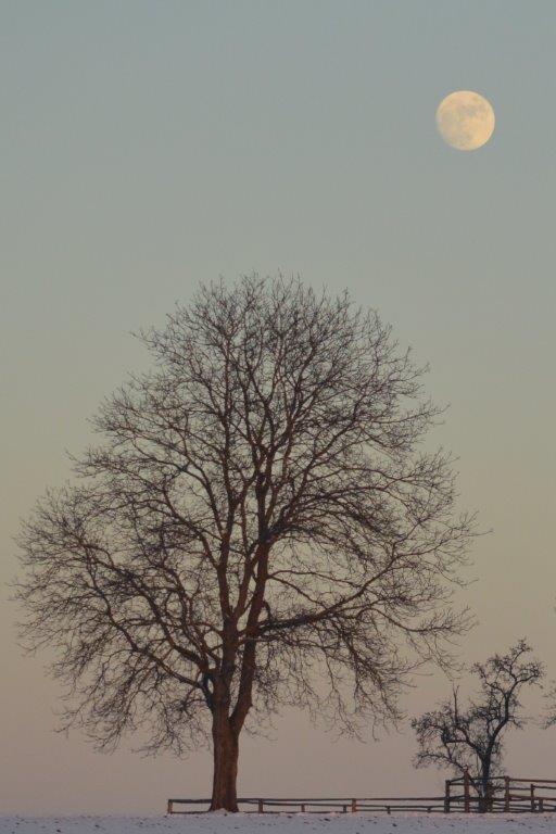 "Wintermond" von Erwin Winterbacher 