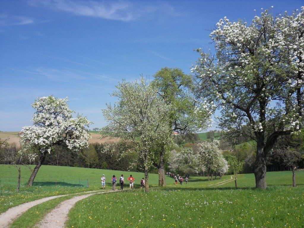 Rückweg nach St. Peter in der Au über die Bergerhöhe