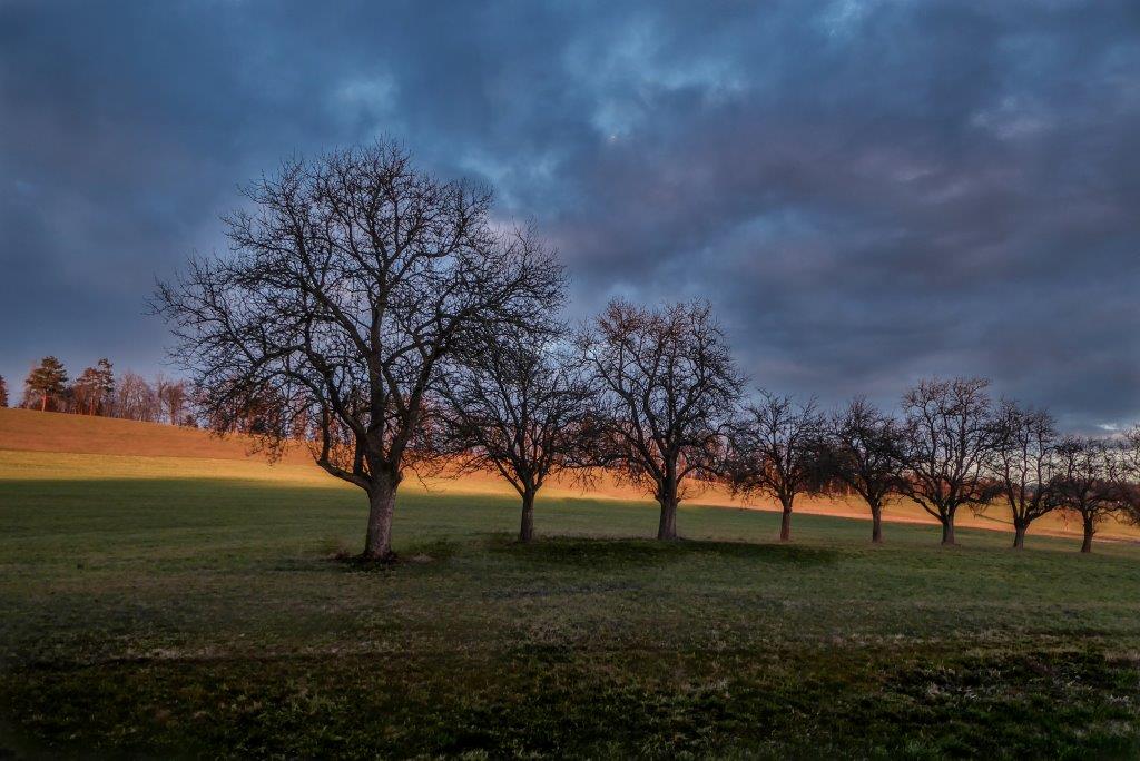 "Lichtstimmung im November" von Eva Maria Ginal