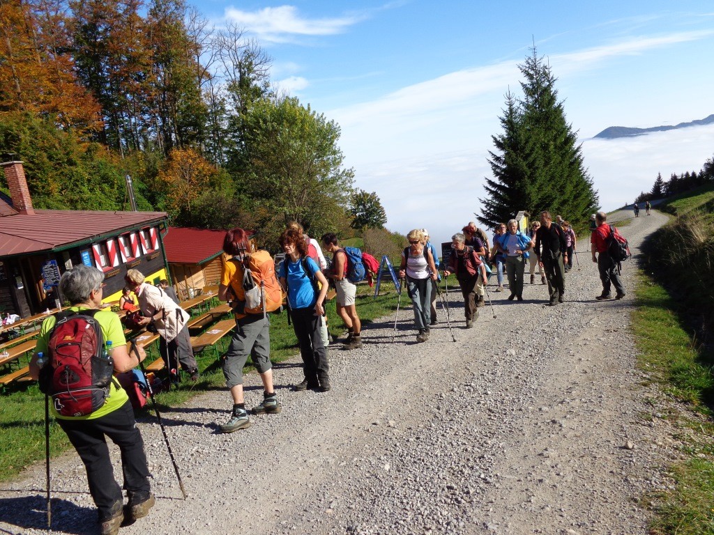 Blick ins Nebelmeer