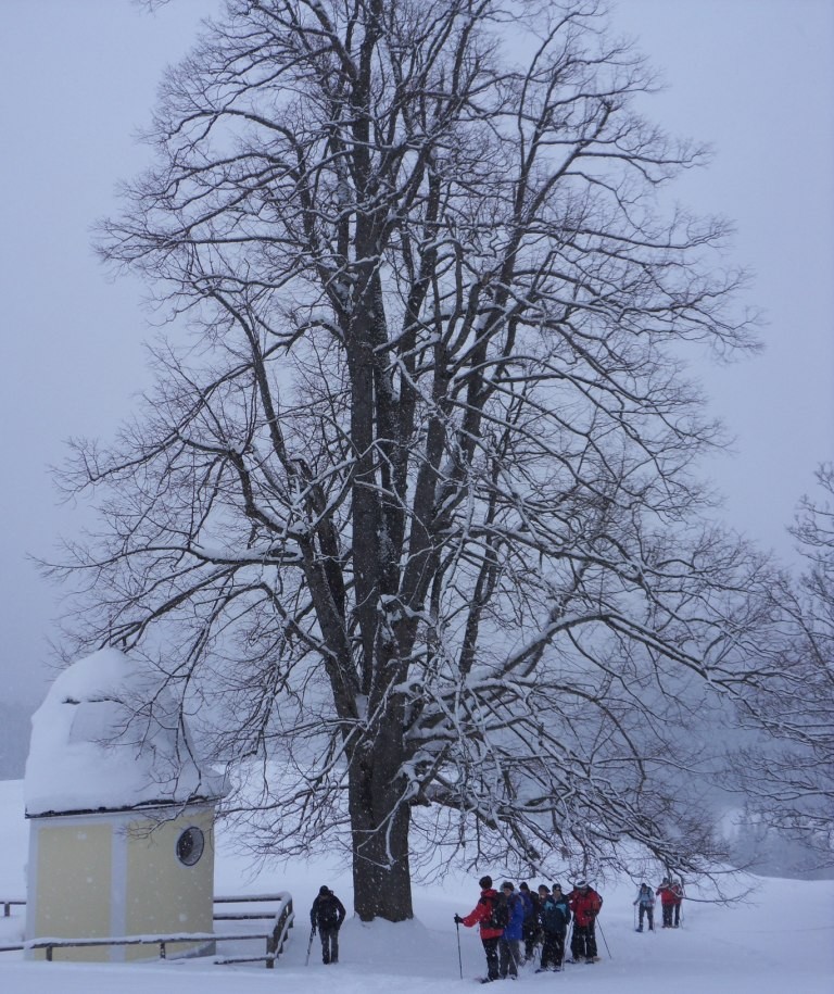 Ochsenwaldkapelle