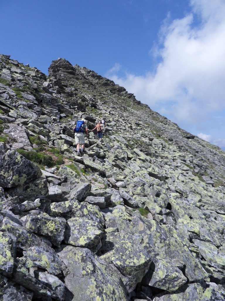 Aufstieg zum Grieskogel 2.338 m