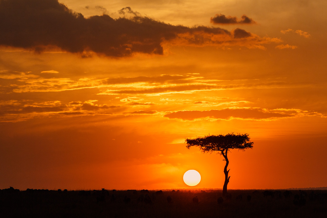 "Die Sonne Afrikas" von Erwin Mayrhofer