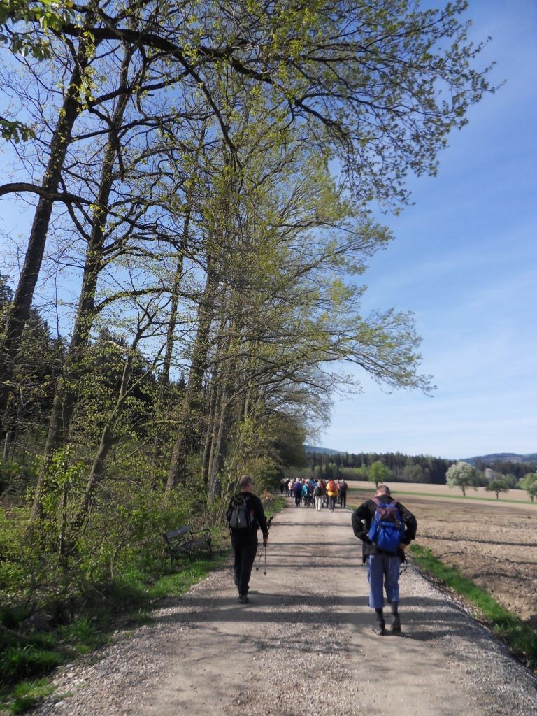 entlang des Naturlehrpfads