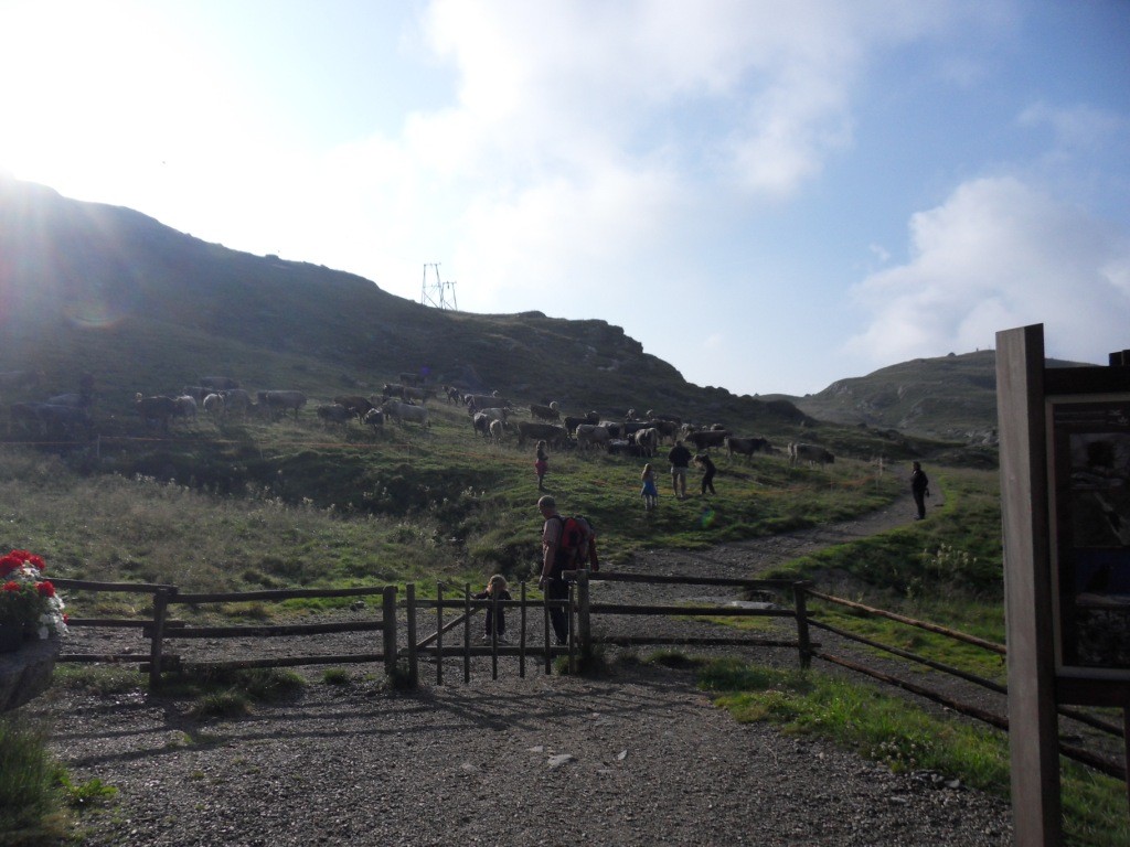 2.8.2012: Trinkpause bei Schutzhütte Oberkaser (2.131 m)