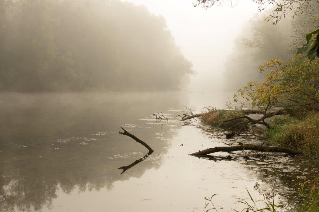 "DonauAu im Nebel" von Eva Maria Ginal 