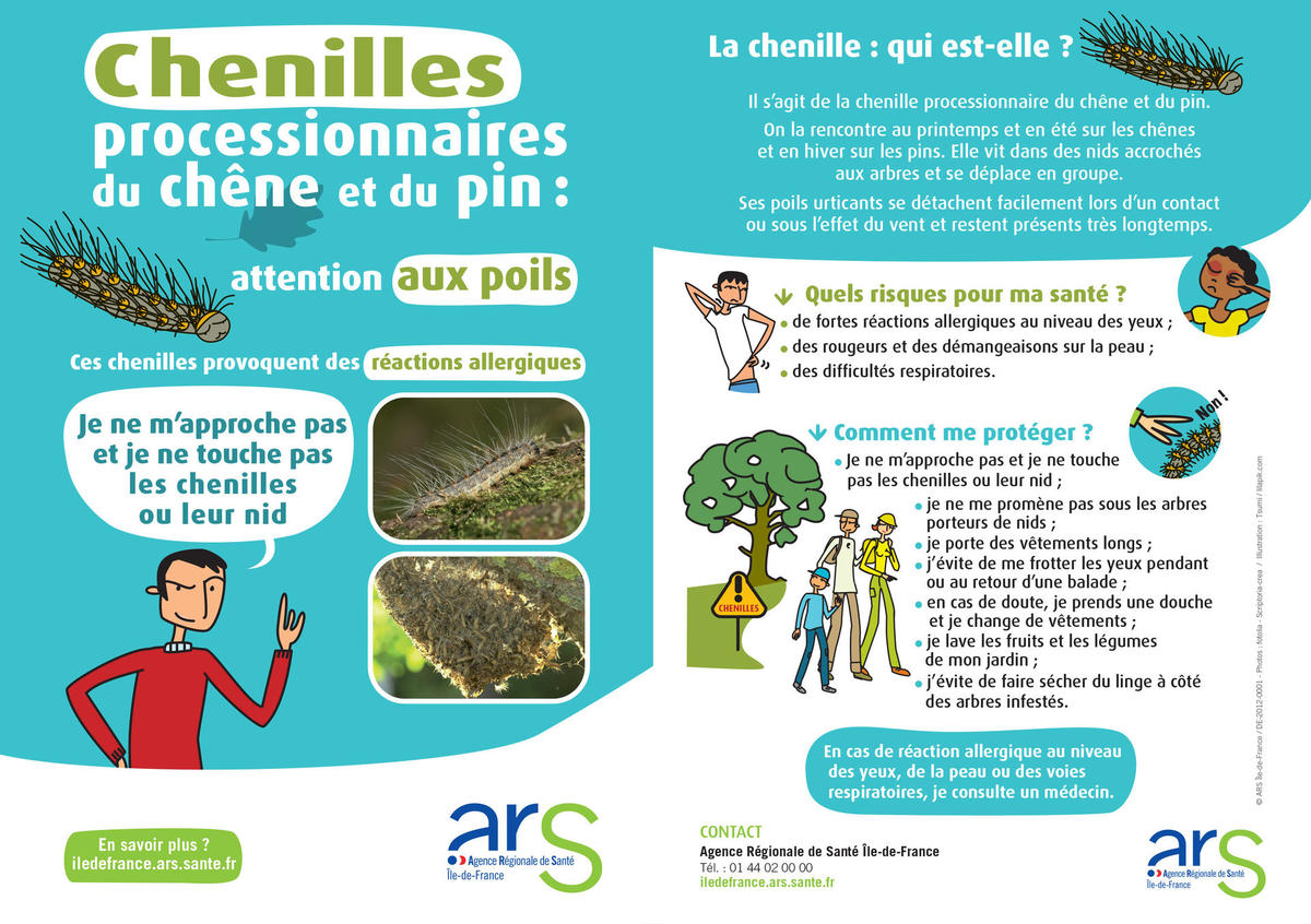 ⚠️ Chenilles processionnaires dans les Yvelines