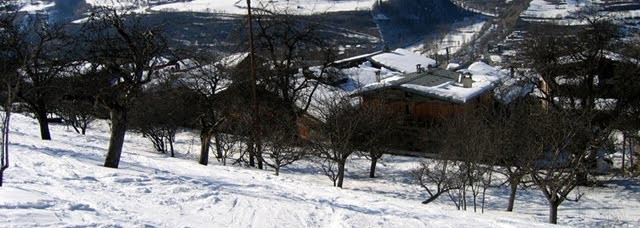 Verger surplombant le village alpin de Montrigon, au pied des Arcs 1600, permet un accès au chalet ski aux pieds par la piste des granges.