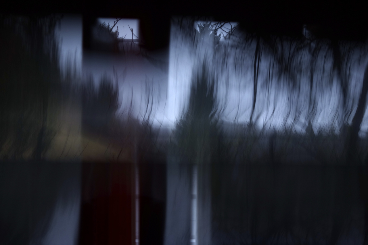 Swamp 3 © Karl A. Herrmann. Photographic print under glass / acrylic glass. Prices and editions on request.