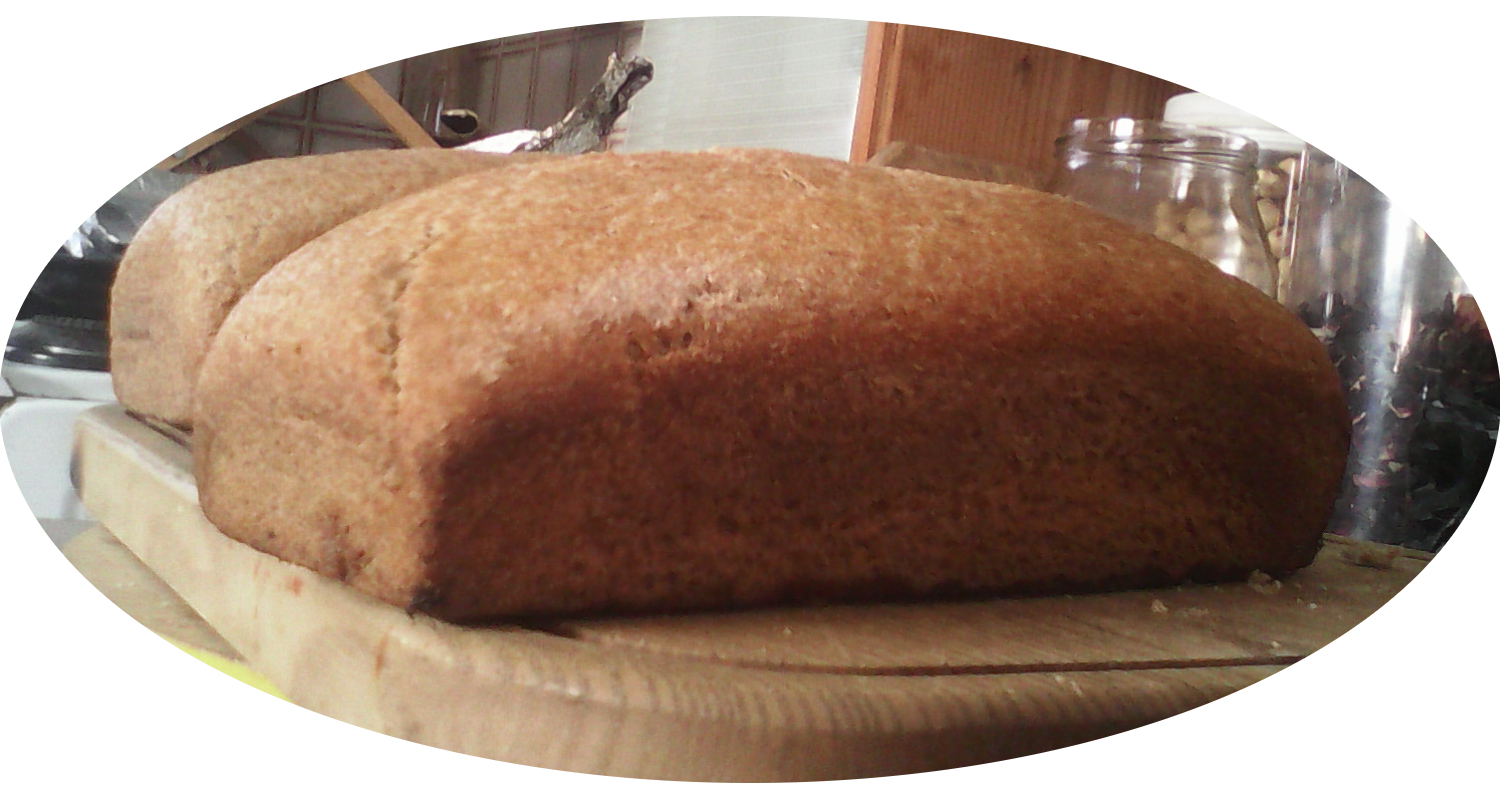 wholemeal bread 