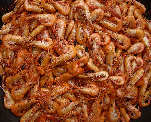 Imagirance- assiette de crevettes 