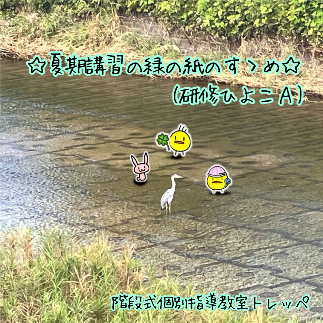☆夏期講習の緑の紙のすゝめ（研修ひよこＡ）☆