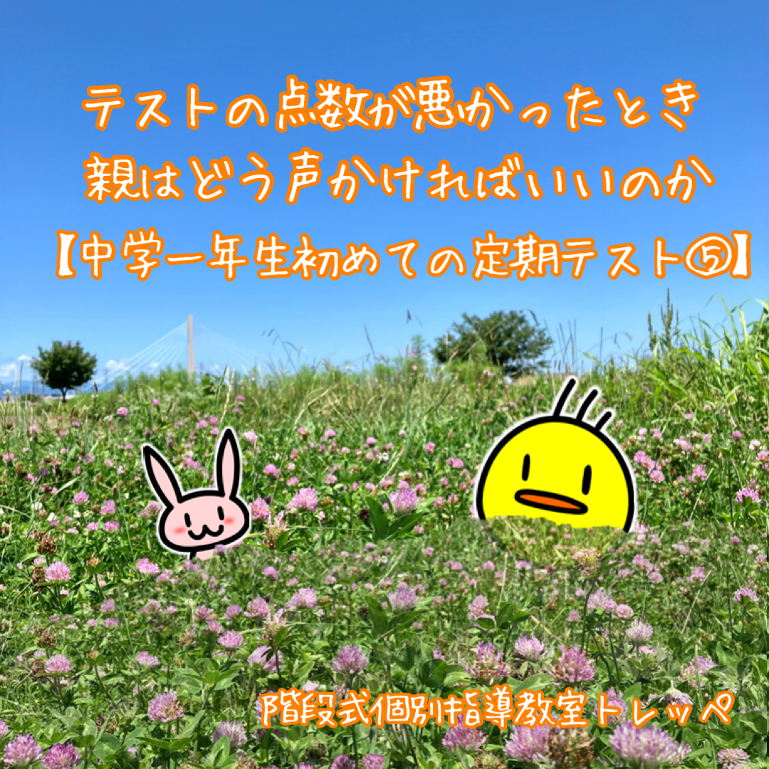 テストの点数が悪かったとき親はどう声かければいいのか【中学一年生の定期テスト⑤】