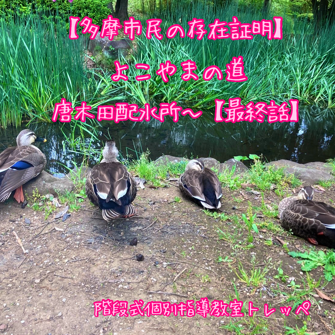 【多摩市民の存在証明】よこやまの道　唐木田配水所～　【最終話】