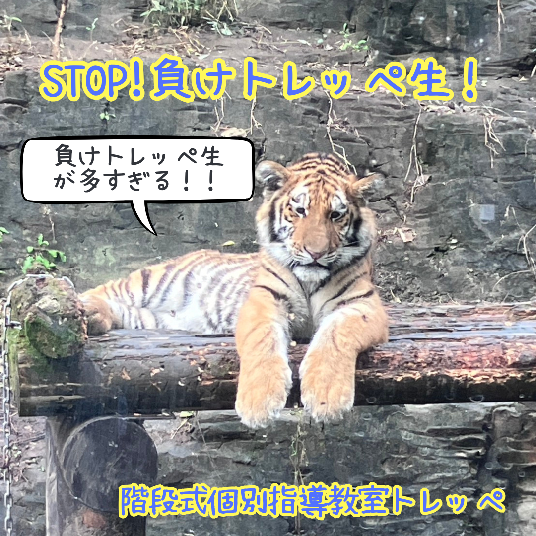ＳＴＯＰ！負けトレッペ生！