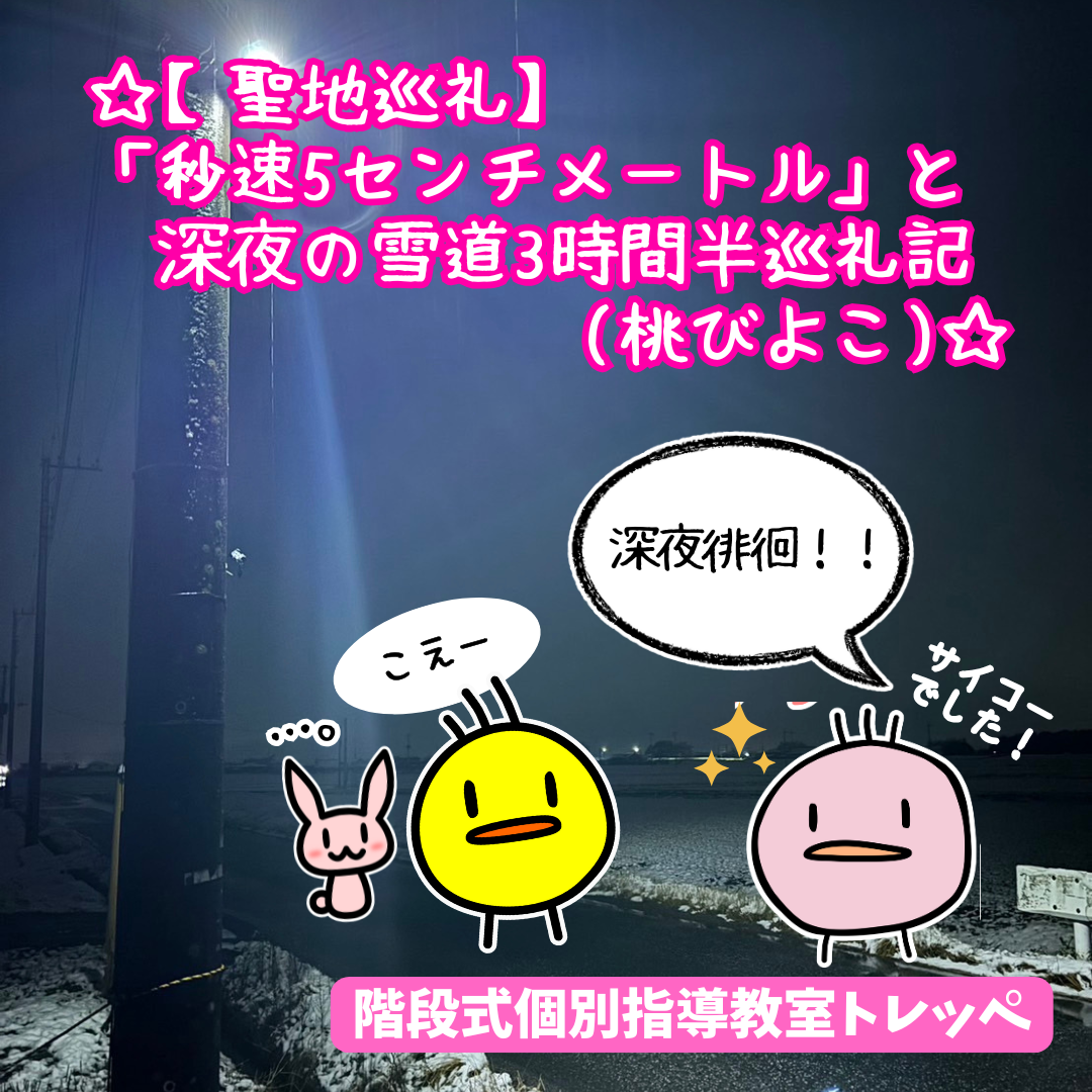 ☆【聖地巡礼】「秒速5センチメートル」と深夜の雪道3時間半巡礼記(桃びよこ)☆