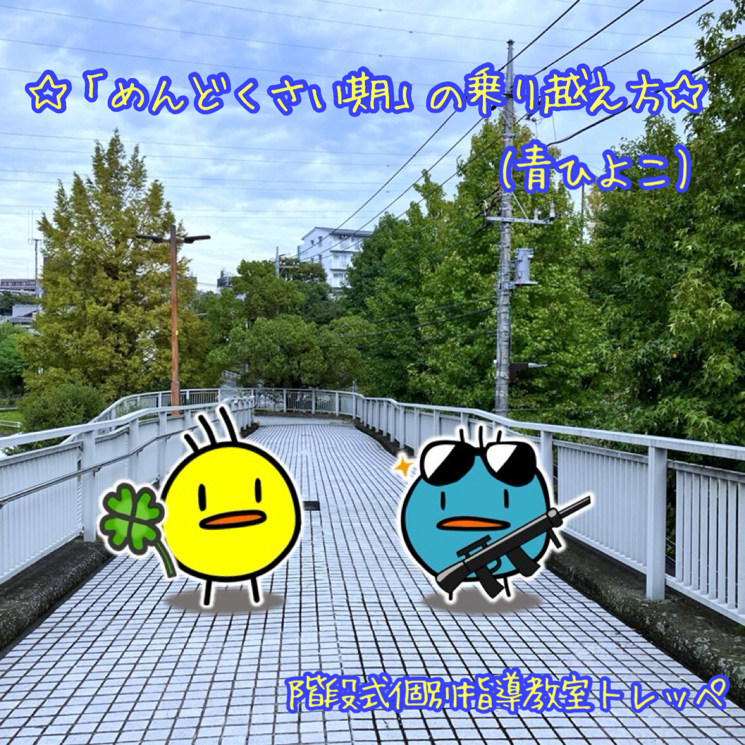 ☆「めんどくさい期」の乗り越え方(青ひよこ)☆