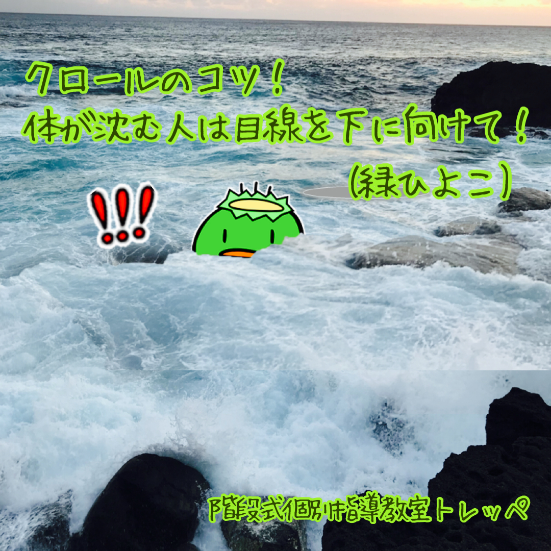 ☆クロールのコツ！体が沈む人は目線を下に向けて！(緑ひよこ)☆【トレッペ講師陣より】【日常のこと】