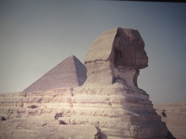 Die Sphinx bei den Pyramiden. Schon damals fehlte die Nase. Die Sphinx ist ein liegender Löwe mit einem Menschenkopf
