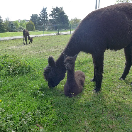 Peggy mit Benita