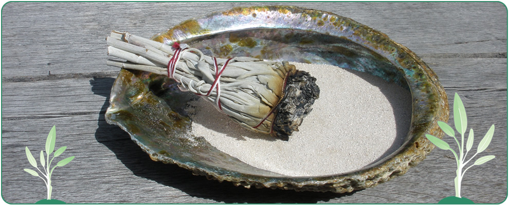 Weisser Salbei verräuchern in einer Abalone Muschel