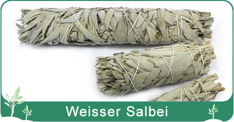 Weisser Salbei zum Ausräuchern kaufen in der Schweiz