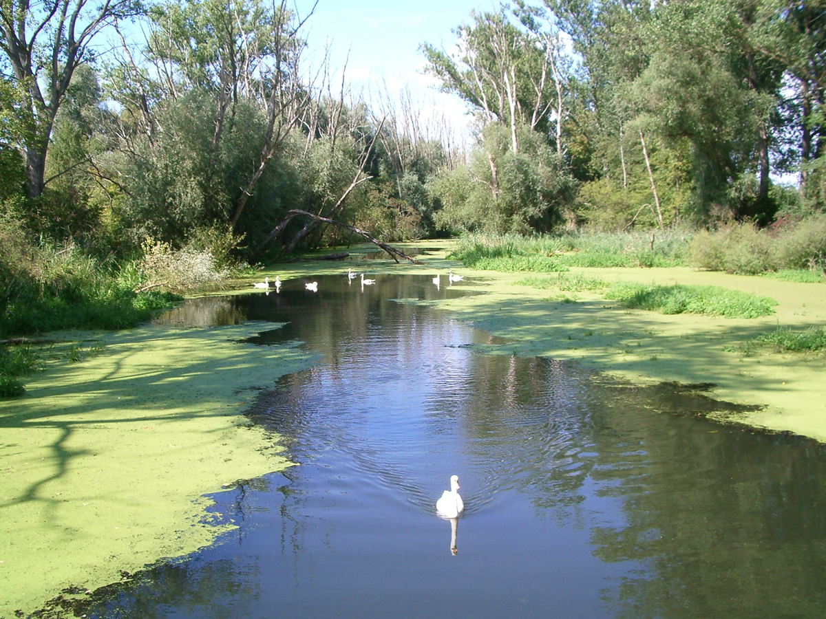 Natur erleben in Hördt