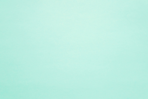 Profile クラリネット奏者 吉田さや佳 Sayaka Yoshida Clarinetist Offiicial Homepage