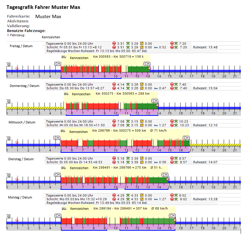 Ansichtsbeispiel aus der Software TachoPlus-DataStandards 