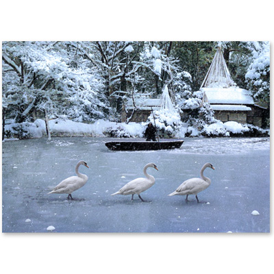 1963（昭和38）年1月12日、金沢市兼六園の霞ケ池