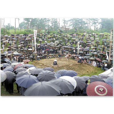 1954（昭和29）年6月10日、石川県羽咋町（現羽咋市）の唐戸山相撲場