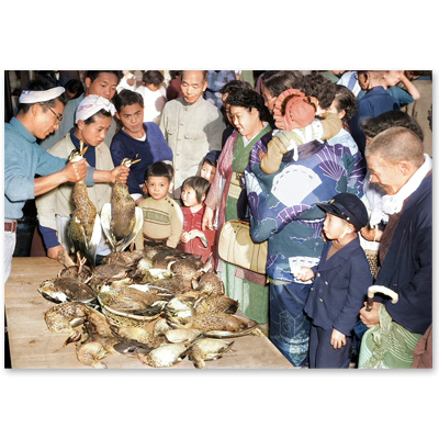 1954（昭和29）年11月1日、金沢市近江町市場