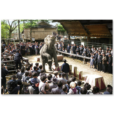 1954（昭和29）年4月16日、金沢市の尾山神社