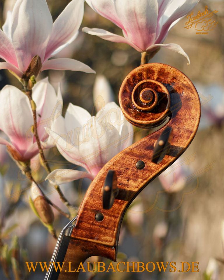 ラウバッハマスターチェロ Laubach Violin Workshop ラウバッハマスターチェロ Laubach Violin Workshop