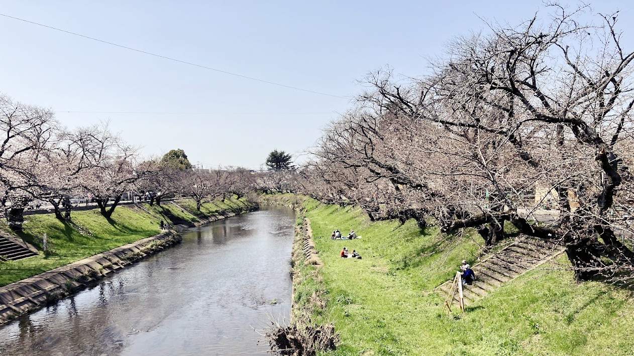 ウインドウエーブお花見宴会