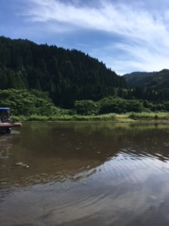 晴天と濃い緑色の山々