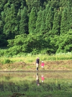 田植え前