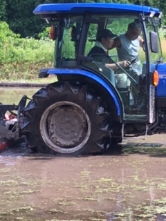 代掻きのトラクター