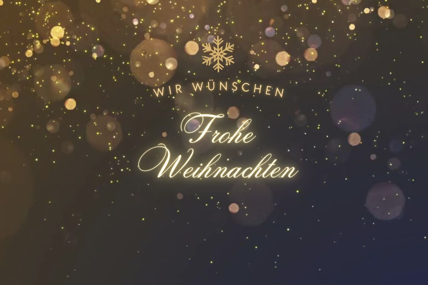 Frohe und friedliche Weihnachten und ein erfülltes neues Jahr 2025
