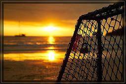Foto: pixabay.com - Symbolfoto