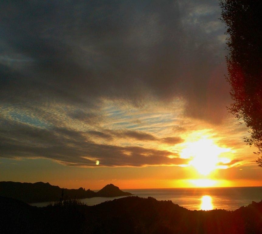 Golfe De Porto Réserve De Scandola Calanche De Piana