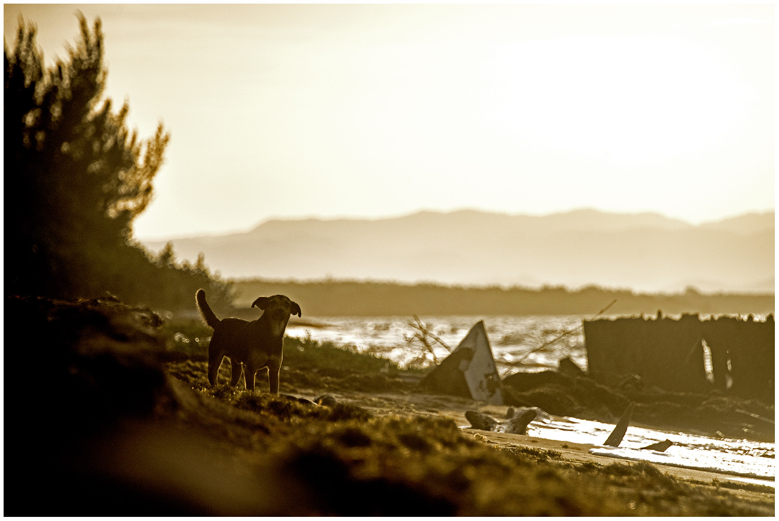 Sonnenaufgang am Strand bei Ritchie und Rosie