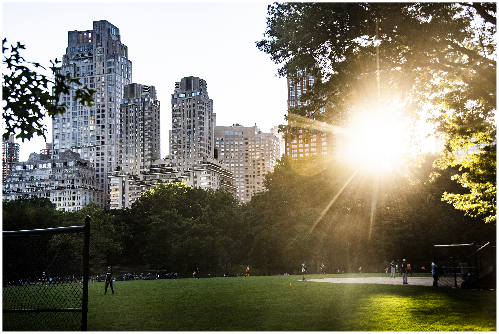Im Central Park