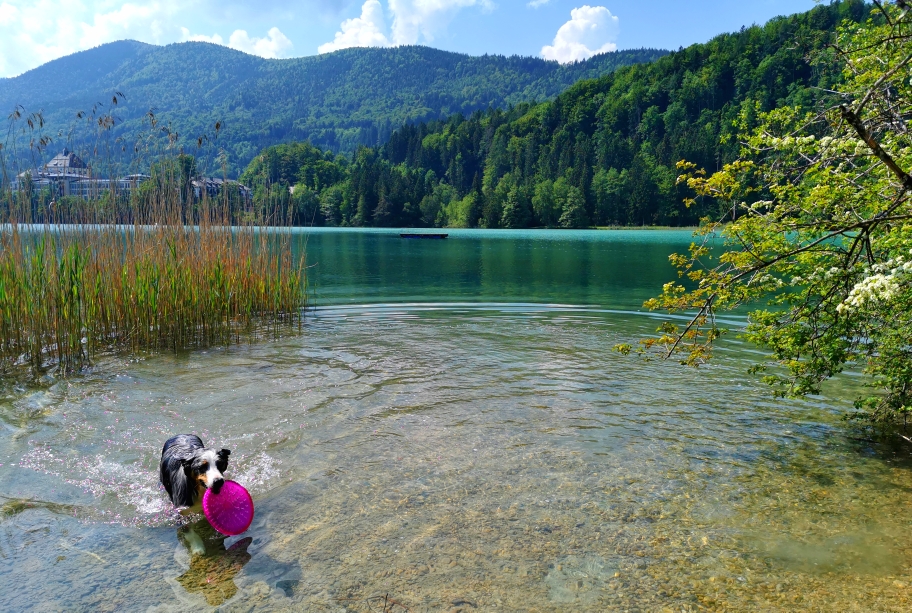 Wasserspass am Fuschlsee